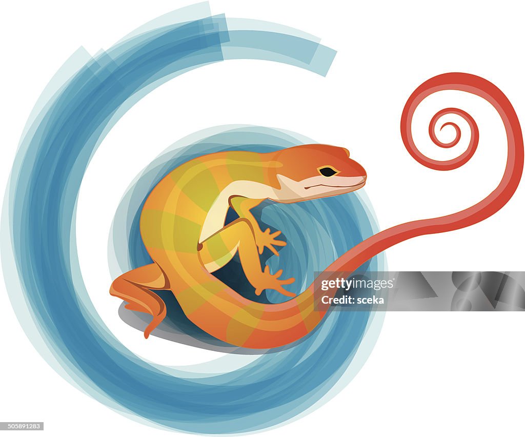 Gecko Raster Gecko High-Res Vector Graphic - Getty Images