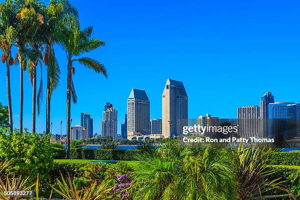 skyline von san diego, ca - san diego stock-fotos und bilder