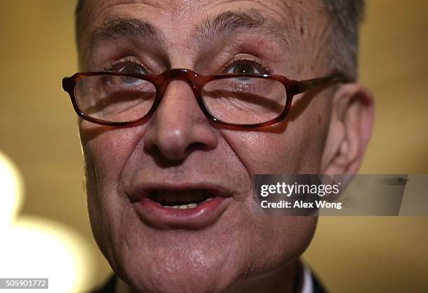 Senate Sen. Charles Schumer speaks during a media briefing after the Democratic weekly policy luncheon January 20, 2016 on Capitol Hill in...