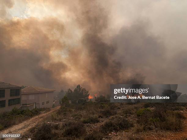 Flames and smoke from a wild forest fire next to the first houses of a village. Bocairent , Spain