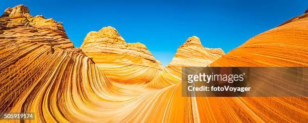 the wave iconic desert strata golden sandstone coyote buttes arizona - desert rock formation stock pictures, royalty-free photos & images