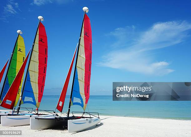 hobie cat katamaran-segelboote - marco island stock-fotos und bilder