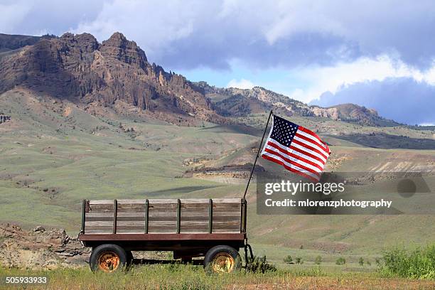 stars & stripes in the west - animal powered vehicle stock pictures, royalty-free photos & images