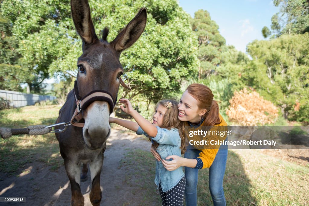 Student and teacher petting donkey at zoo