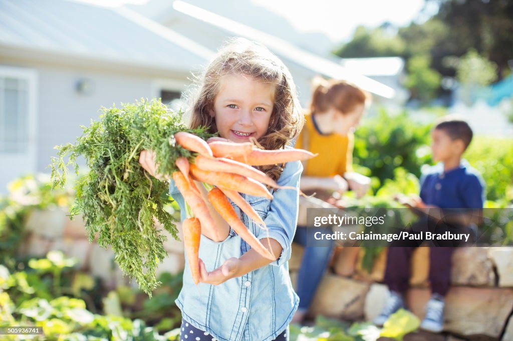 Girl holding bunch of carrots in garden