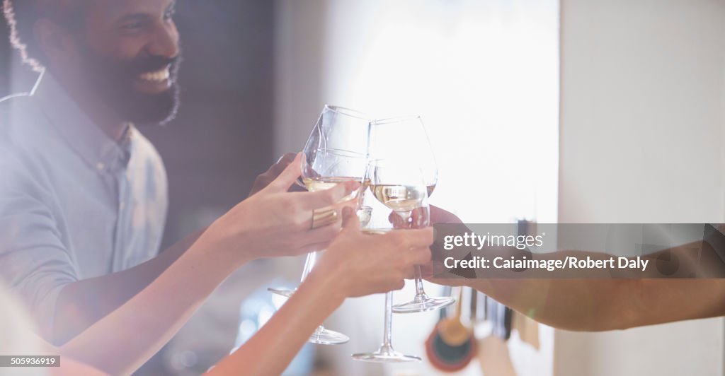 Friends toasting each other at party