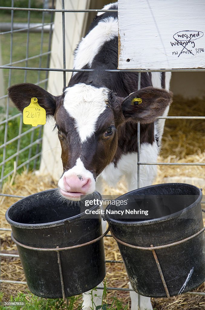 Agriculture Tech