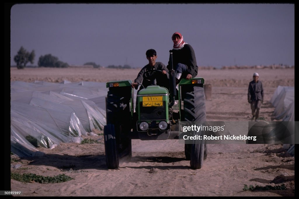 Farm laborers driving tractor between ro