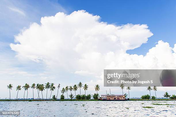 alappuzha backwater - laguna de kerala - fotografias e filmes do acervo