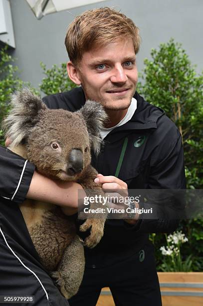 David Goffin of Belgium poses with a Koala at the player cafe garden during day four of the 2016 Australian Open at Melbourne Park on January 21,...