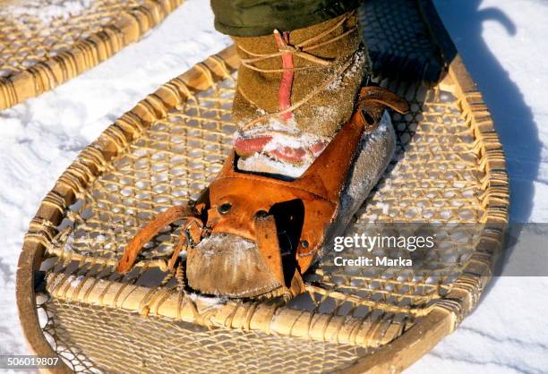 Singer Innu 59 Innu Stock Photos, High-Res Pictures, and Images - Getty Images