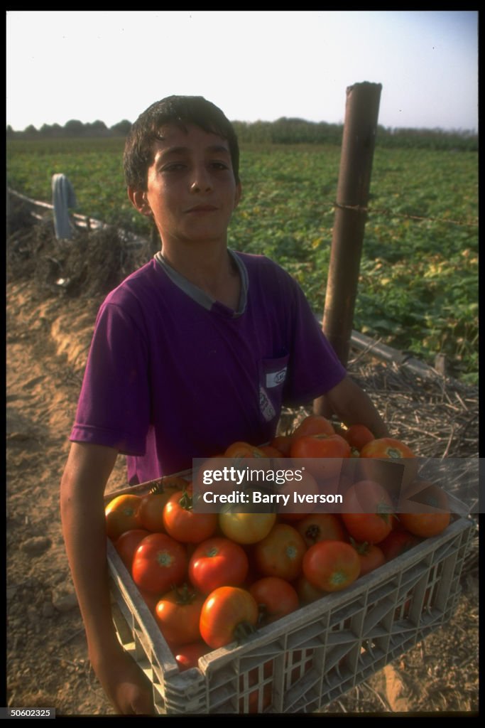 Palestinian boy w. fresh-picked crate of