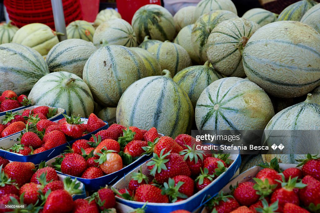 Cavaillon Melon
