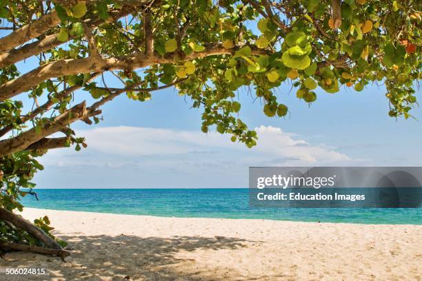 Cuba, Playa Ancon.