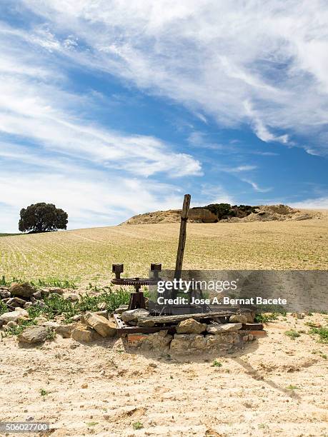 field sowed with small green plants and a well khan manual ancient machinery. - ancient plow stock pictures, royalty-free photos & images