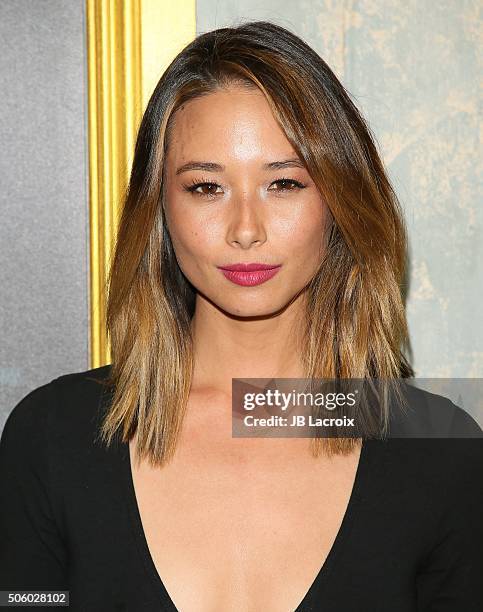 Aja Dang attends the premiere of STX Entertainment's 'The Boy' at Cinemark Playa Vista on January 20, 2016 in Los Angeles, California..