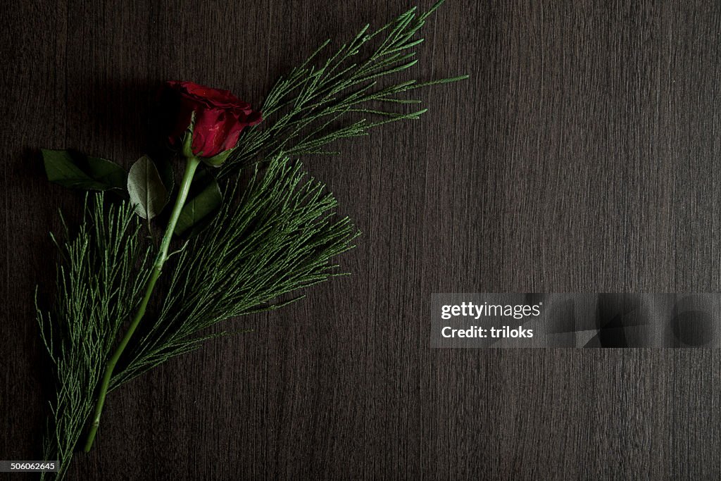 Red rose with plants on brown wooden table