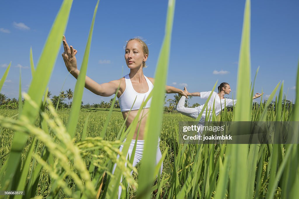 Giovane donna praticare yoga in un campo di riso