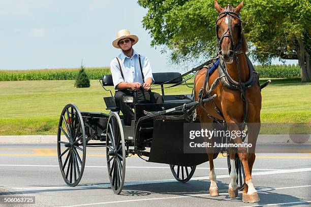 amish land - amish man stock pictures, royalty-free photos & images