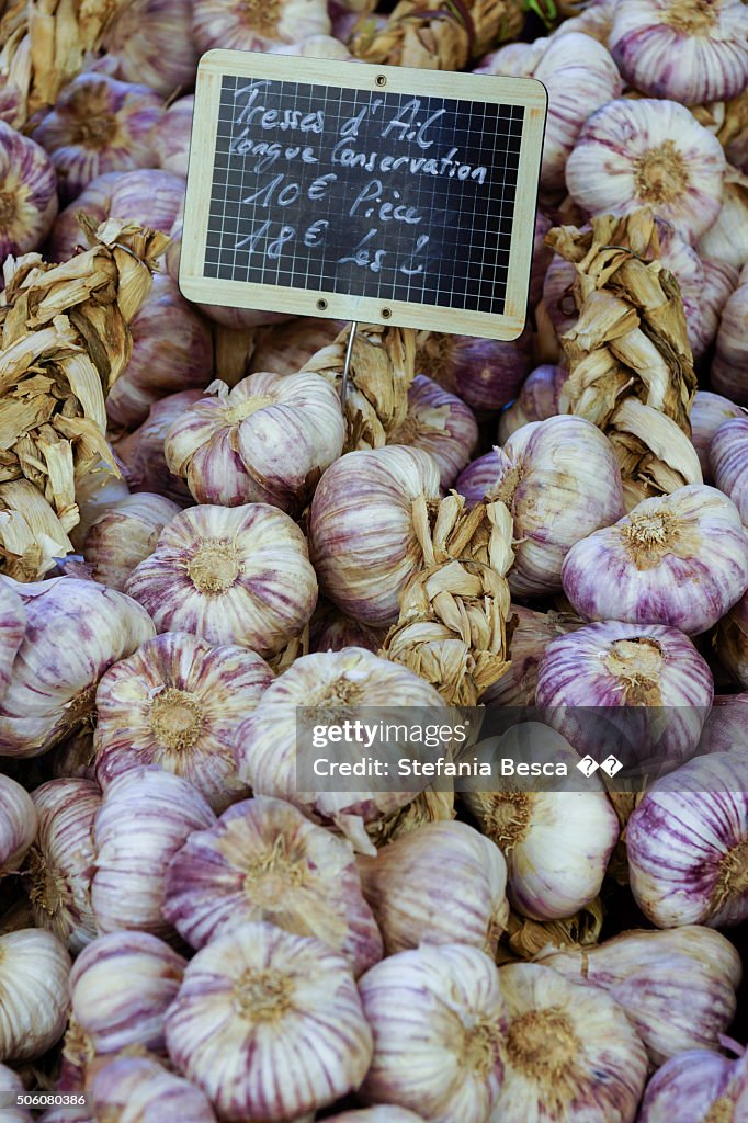 French Garlic Early Purple Wight
