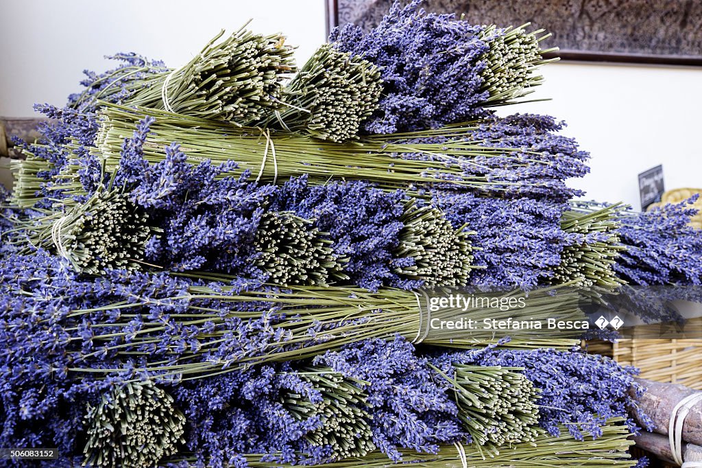French lavander