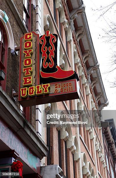 Coyote Ugly on December 31, 2015 in Nashville, Tennessee.