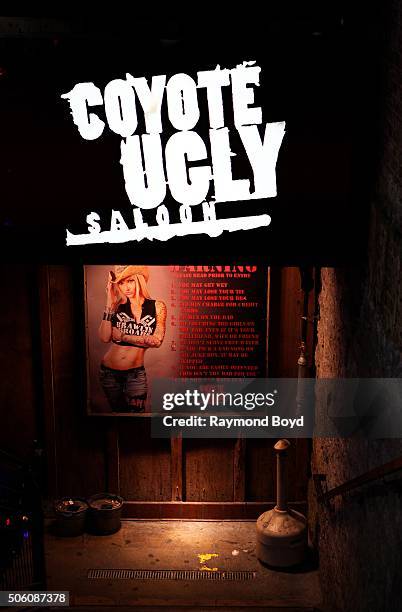 Coyote Ugly on December 31, 2015 in Nashville, Tennessee.