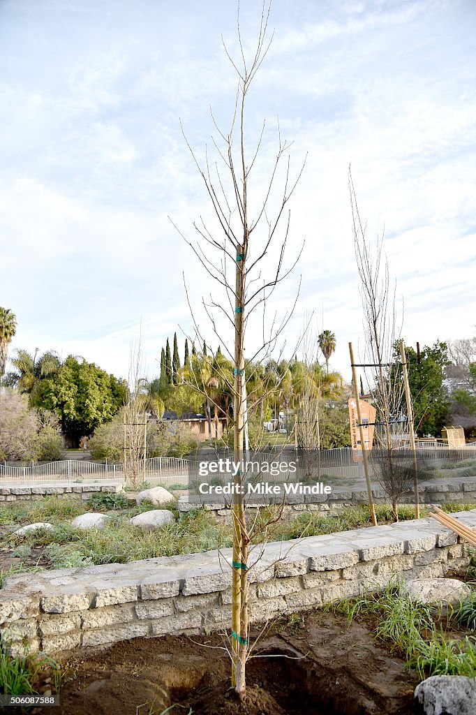 The 22nd Annual Screen Actors Guild Awards - SAG Awards And American Forests Tree Planting At The L.A. River