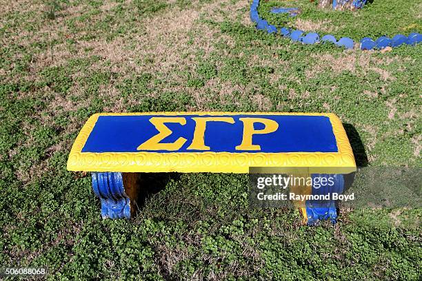 January 01: Sigma Gamma Rho's Sorority plot at Fisk University on January 1, 2016 in Nashville, Tennessee.