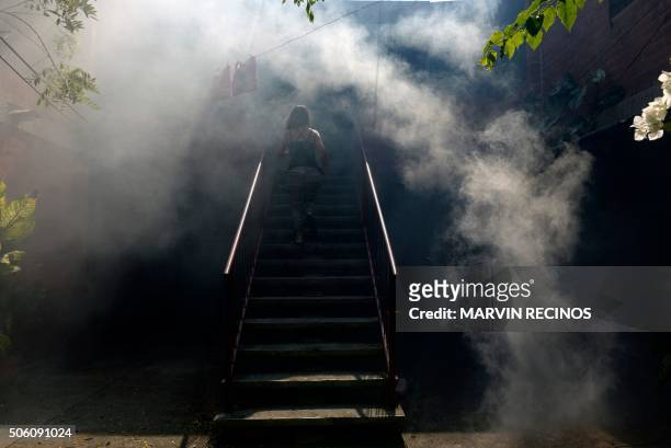 Woman walks through the fumes as Health Ministry employee fumigate against the Aedes aegypti mosquito to prevent the spread of the Zika virus in...