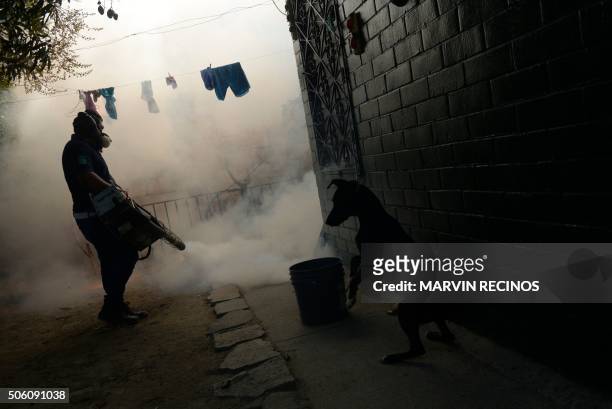 Health Ministry employee fumigates a home against the Aedes aegypti mosquito to prevent the spread of the Zika virus in Soyapango, six km east of San...