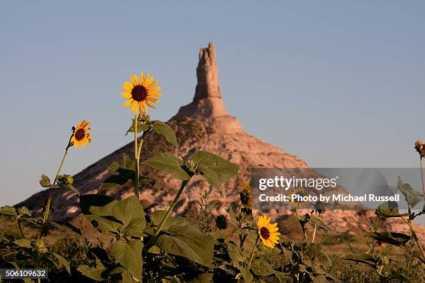 chimney rock sunflowers - the oregon trail ストックフォトと画像