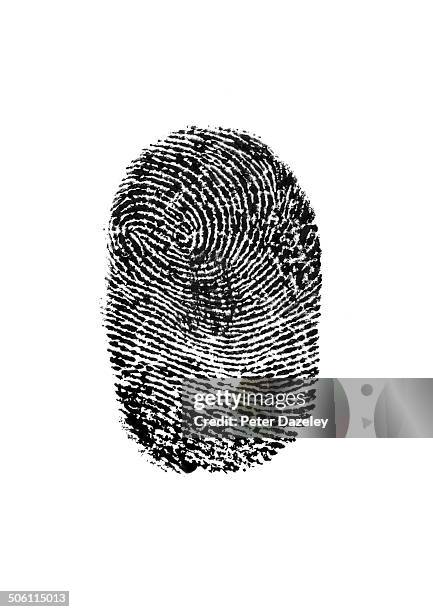 fingerprint on white background - fingerprinting stock-fotos und bilder