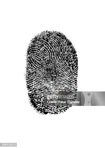fingerprint on white background - investigación criminal fotografías e imágenes de stock