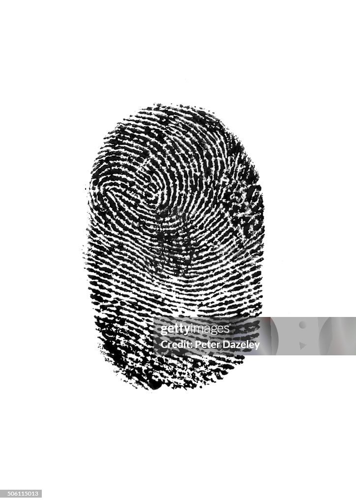 Fingerprint on white background