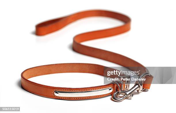 dog lead with copy space - collar-para-perro fotografías e imágenes de stock