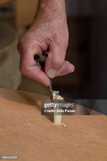 control of cheese ripening - hombre cortando queso fotografías e imágenes de stock