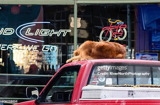 laramie, wyoming street scene - laramie stock pictures, royalty-free photos & images