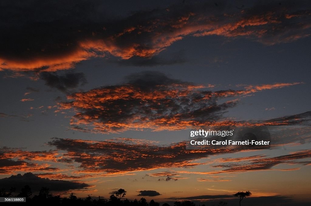 Sun sets over the Pine Savanna Illumination sky