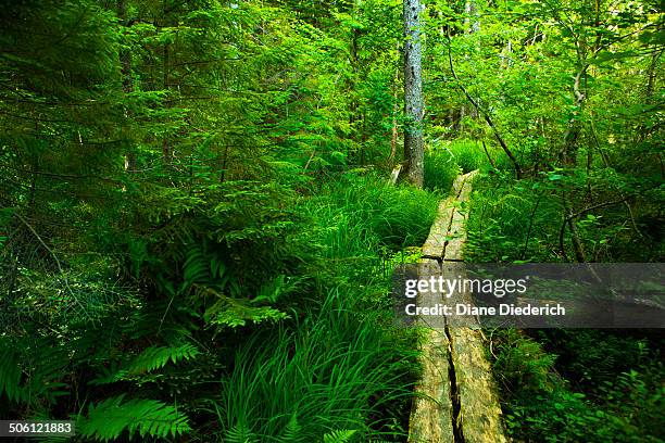 eagle lake trail - diane diederich fotografías e imágenes de stock