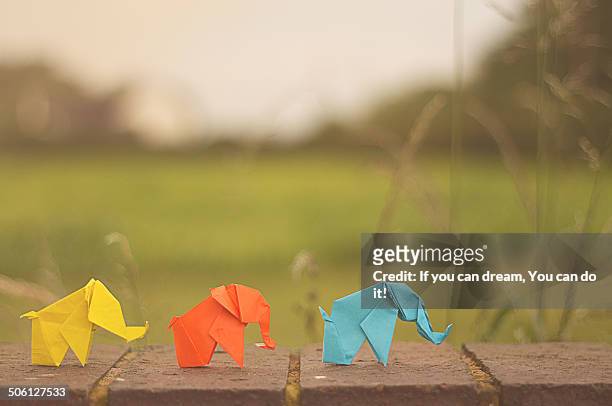 elephant - animaux origami photos et images de collection
