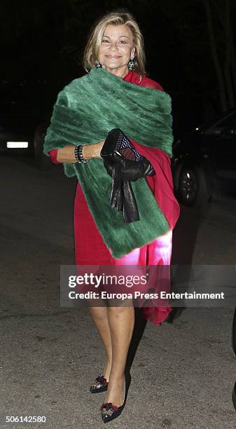 Cari Lapique attends the wedding of Cynthia Rossi and Benjamin Rouget on December 18, 2015 in Paris, France.