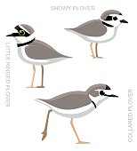 Bird Plover Set Cartoon Vector Illustration