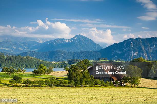 lake lucerne scenery - bauernhaus stock-fotos und bilder