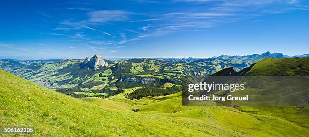 swiss alps - schwyz stock pictures, royalty-free photos & images