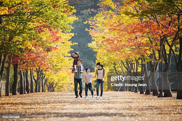 family playing in autumn park - ulsan stock pictures, royalty-free photos & images