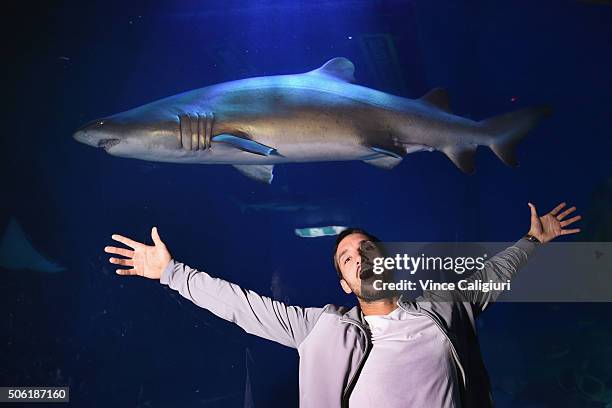 Viktor Troicki of Serbia poses with the sharks at the Melbourne Aquarium during day five of the 2016 Australian Open at Melbourne Park on January 22,...