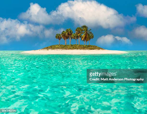 caribbean paradise - south pacific ocean fotografías e imágenes de stock