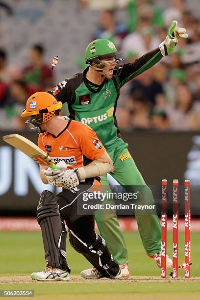 Peter Handscomb of the Melbourne Stars appeals for a stumping of Michael Klinger of the Perth Scorchers during the Big Bash League Semi Final match...