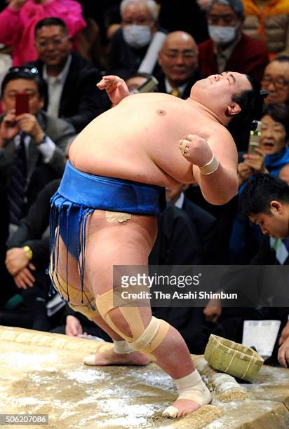 Ozeki Kotoshogiku prepares for his bout against Mongolian yokozuna Harumafuji during day twelve of the Grand Sumo New Year Tournament at Ryogoku...